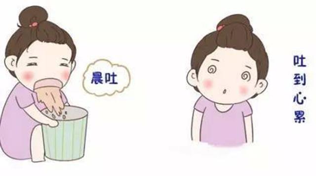严重孕吐太难受还影响母婴健康！中医推荐8个药方，有效缓解孕吐