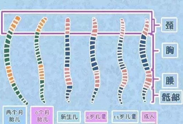 一岁以内别用这两个动作哄孩子睡觉，已经伤了娃，你可能还不知道