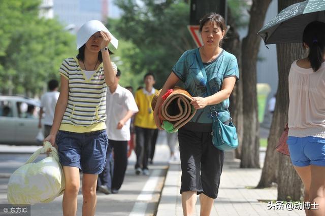 越会偷懒的妈妈，孩子未来则会越成功