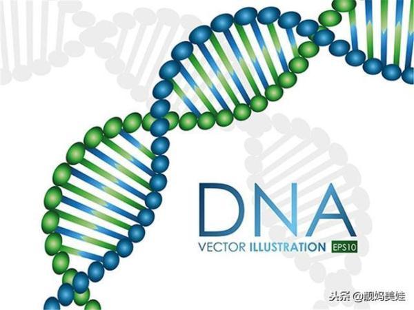 究竟夫妻俩谁的基因，决定了孩子的身高和颜值？看完觉得很准！