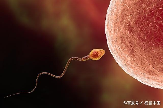 受精卵着床有感觉吗？排卵后7天左右，希望你出现这3个“感觉”！