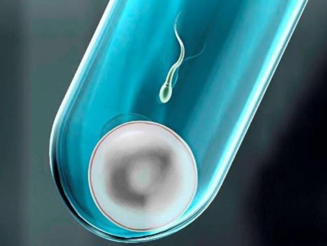 为什么很多女明星都生下“双胞胎”，这是巧合吗？看完你就知道了