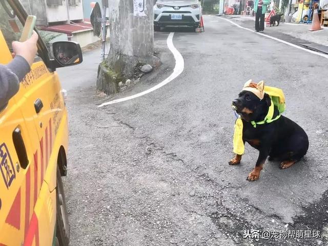 120斤“奶嘴男童”上校车遭拒，老师说出两个理由让它委屈到皱眉