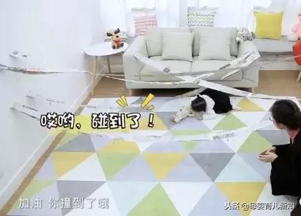 多玩游戏宝宝的智商会高？这3款小游戏快跟宝宝玩起来