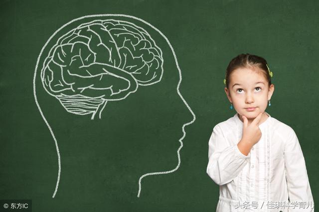 如何让孩子变得更聪明？只要做到这5点，让宝宝智商高、学习好！