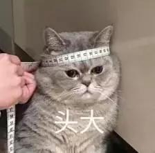 为啥越来越多人生不出孩子？6个习惯正在吞噬你的生育力，改改吧