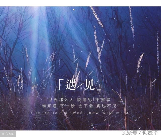 不能拥有,我会笑着离开