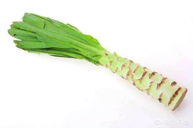 月子里吃什么蔬菜下奶？