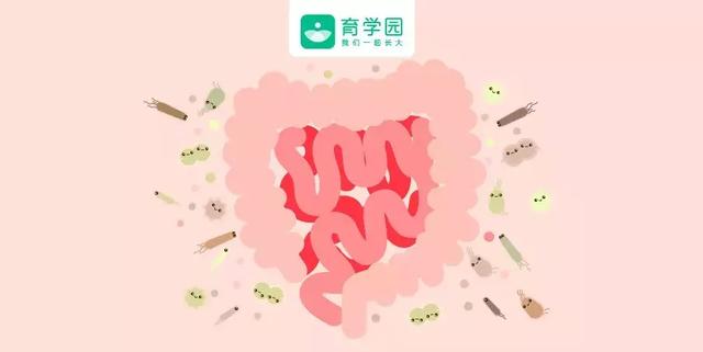 如何保护孩子的肠道健康？这些知识你需要知道！
