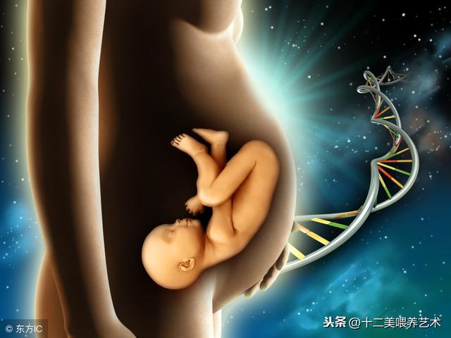 宝宝头发好少，怨满月时没给剃头发？真正的原因是这3个