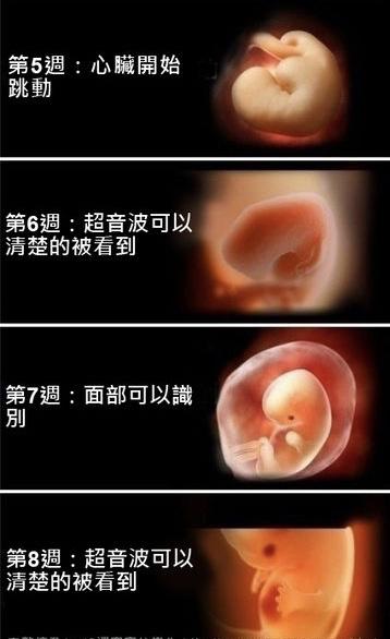 孕期怀了畸形胎儿？注意过好这个时期，宝宝健康妥妥的