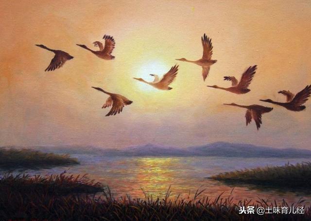 给儿童插上想象的翅膀，家长请先蹲下来跟孩子一起看世界