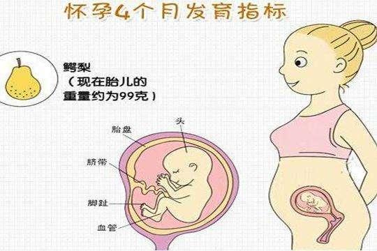 怀孕五个月，基本没胎动，这是怎么回事？他终于说了实话！