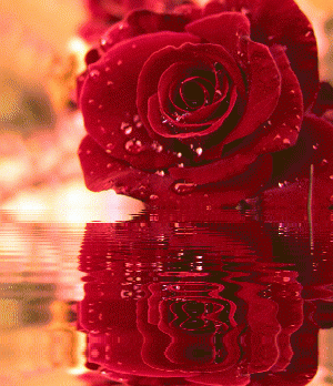 12月15，妈妈妈妈妈妈妈妈妈妈妈妈妈妈妈妈