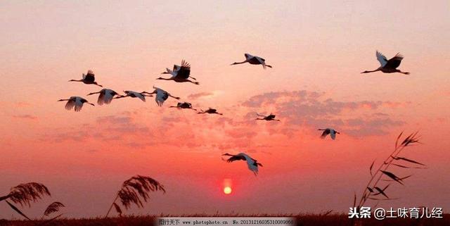 给儿童插上想象的翅膀，家长请先蹲下来跟孩子一起看世界