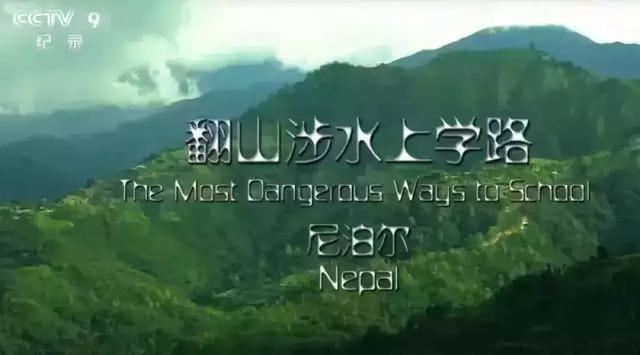 养道｜一部0分纪录片震撼了所有人！而它给我们的启示却更加深刻