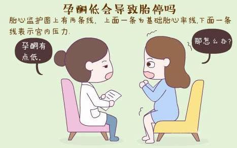 胎停育原因有哪些？胎停育后多久可再孕？备孕早知道，孕期更顺利