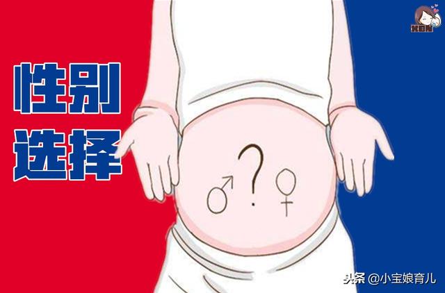 宋丹丹：生男生女老爷们是关键！胎儿性别在这个阶段就已确定！
