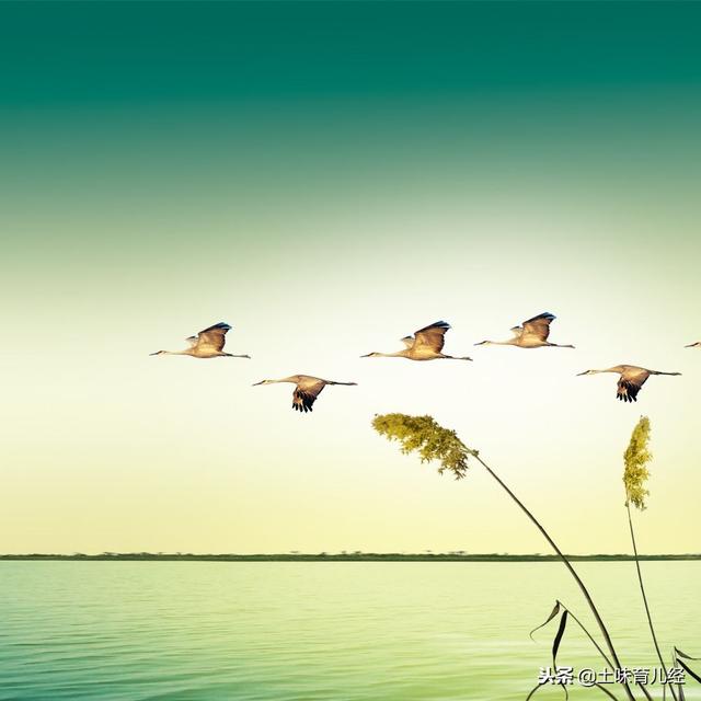 给儿童插上想象的翅膀，家长请先蹲下来跟孩子一起看世界