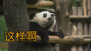 宝宝腿不直？X型腿？O型腿？警惕！这些做法伤害宝宝