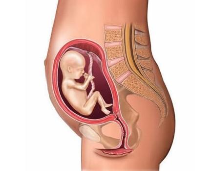 决定胎儿大小关键看这些因素，准妈妈一定要了解