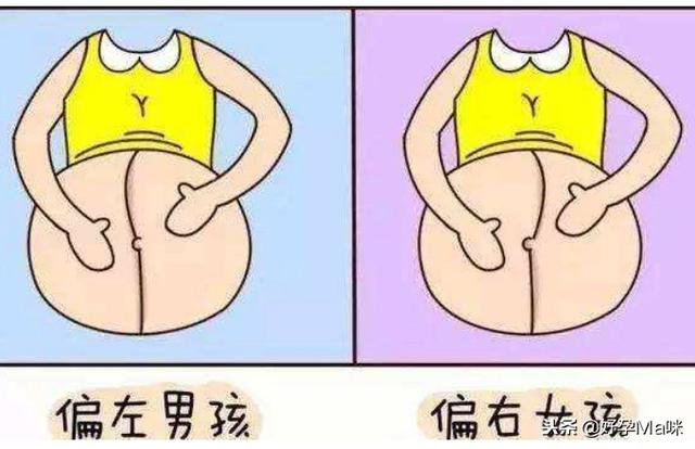 好奇胎宝性别？其实B超单上的数据已经告诉你了