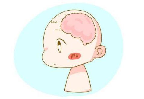 刚刚当妈妈的注意：千万别错过宝宝大脑的发育时间