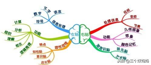怎样培养宝宝的全脑多元智能，这一套全脑开发教案给你答案