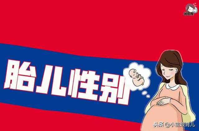 宋丹丹：生男生女老爷们是关键！胎儿性别在这个阶段就已确定！