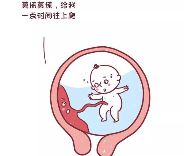 前置胎盘怎么办？莫慌莫慌！这个时期胎盘还会往上爬