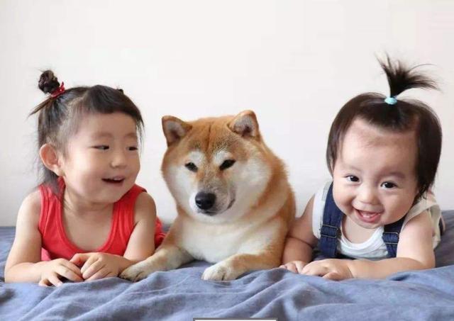 二十年后，社会可能会淘汰这3种孩子，父母可别大意了