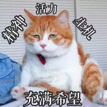 难怪孩子不愿意自己吃饭，这些事你都做晚了！