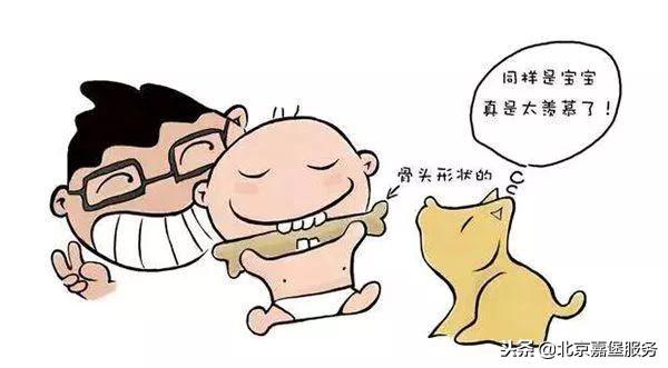 辅食菜谱——8月龄宝宝辅食要点及菜谱推荐