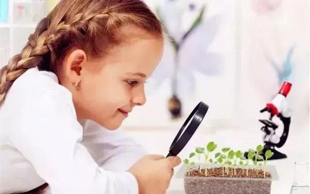 让孩子亲手种一棵草是什么体验？太神奇了！