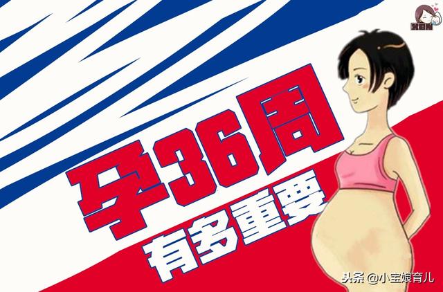 孕36周关乎胎儿能否顺利出生，孕妇要重点关注这个特征！