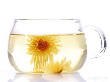 孕期上火，可以喝菊花水吗？