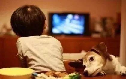 让孩子亲手种一棵草是什么体验？太神奇了！