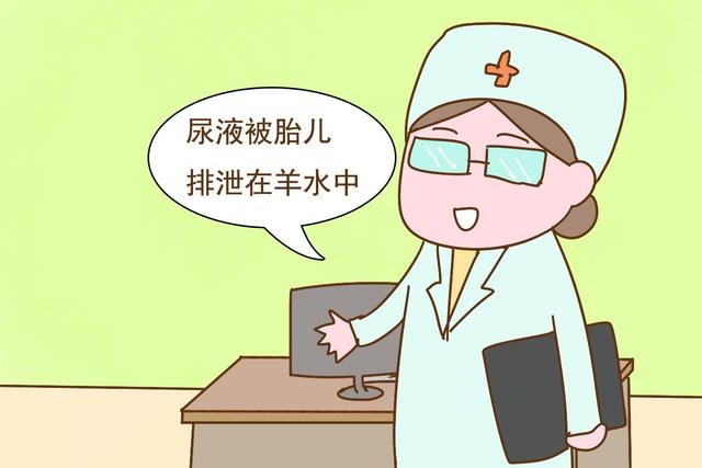 怀孕期间，胎儿的排泄物都去了哪里？孕妈后悔在饭前知道了
