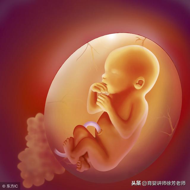 胎宝宝动得好欢乐，爸爸一摸就不动了，原因在这里