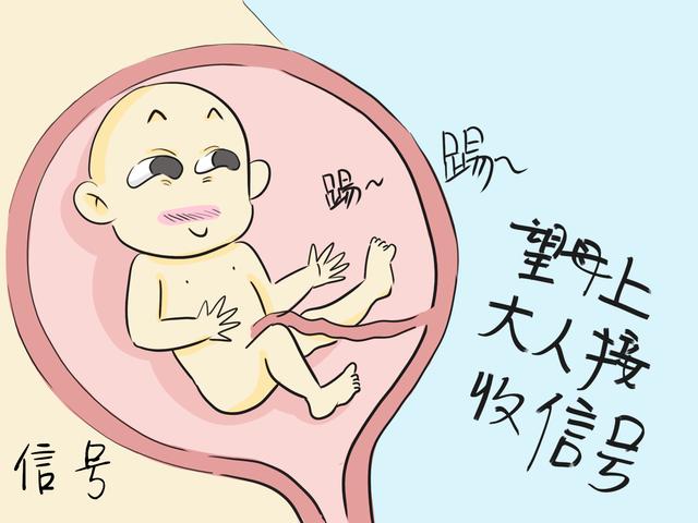 为何产检最重要的大排畸要放在孕中期？别心急，太早不一定看得清
