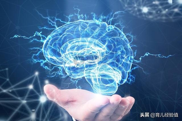 掌握孩子大脑的5个秘密，你会培养出让人羡慕的“别人家孩子”！