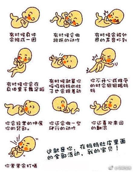 5种胎动是宝宝在说5句话：持续不断、鼓起来、很大或突然一下……