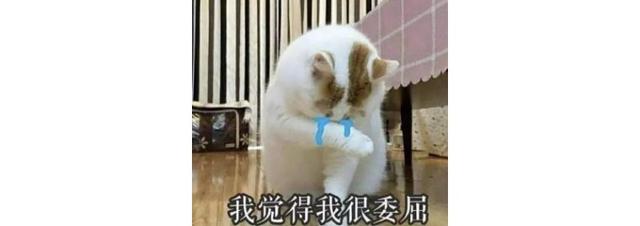 父母和你的神仙对话，看完我承认我是亲生的了！