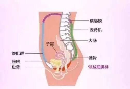 产后夫妻生活没感觉,只因这件事没做好!