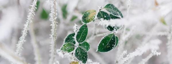 时刻注意孩子眼睛，这里有一份眼科医生为你整理的指南