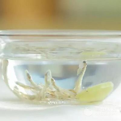 海苔豆腐小方 宝宝辅食食谱