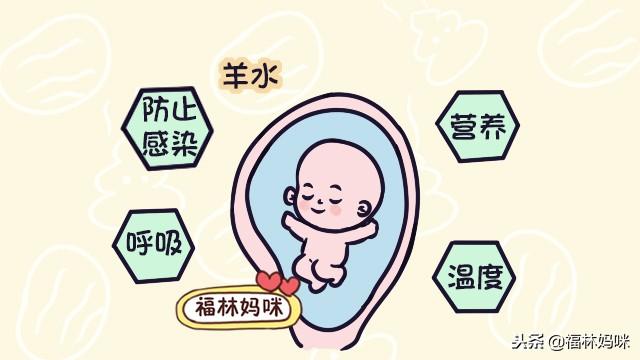 胎宝宝最害怕羊水变浑浊！孕妈妈做好这几点，羊水才能更清澈！