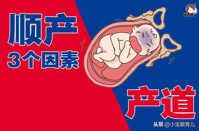 胎儿过大就不能顺产吗？医生：能否顺产要看这3个因素！