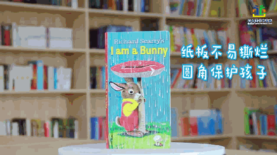 翻翻书、立体书，这12大类英语启蒙绘本，让孩子从0岁开始爱读书