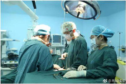 妈妈，请醒来看我一眼 孕妇遭车祸昏迷49天，宝宝顽强生长顺利出生！